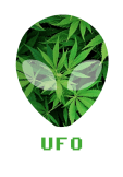 maglietta UFO #2