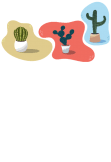 maglietta cactus