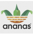 maglietta ananas