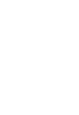 maglietta Crocodile - White version skull
