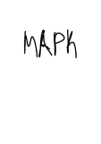 maglietta United Colors of #Mapk 