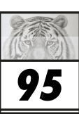 maglietta Tiger 95