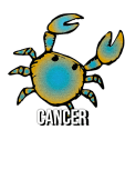 maglietta Cancer
