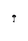 maglietta Shady key
