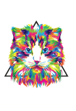 maglietta Color Cat