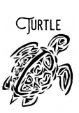 maglietta Turtle