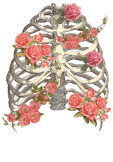 maglietta Skeleton and flowers