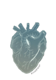 maglietta HEART