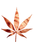 maglietta Leaf