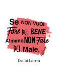 maglietta Dalai Lama words 