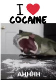 maglietta t-rex cocaine 