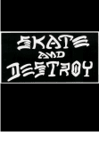 maglietta Skate And Destroy cover