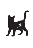 maglietta flash Cat