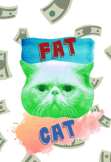 maglietta FAT CAT