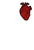 maglietta RED HEART