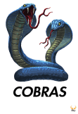 maglietta Cobras