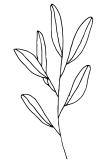maglietta Leaf