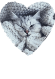 maglietta Winter - Cat in love