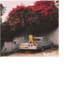 maglietta sad boy.