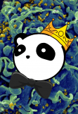 maglietta The King panda
