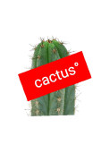 maglietta T-shirt, felpa e cover della cactus°