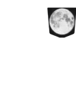 maglietta moon