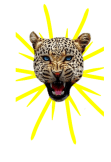 maglietta Leopard