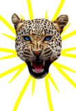 maglietta Leopard