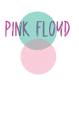 maglietta PinkFloyd