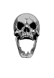maglietta skull black type 0