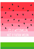 maglietta not a melon