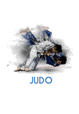 maglietta judo