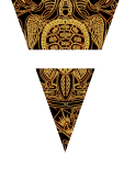 maglietta maori turtle
