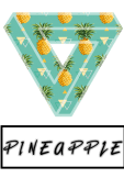 maglietta Pineapple T-shirt