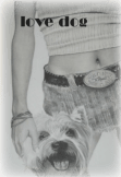 maglietta donna con  cane