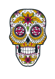 maglietta mexican skull 