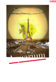 maglietta Aquarium Paris