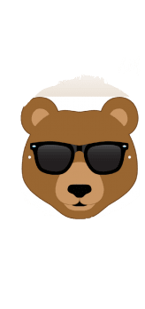 cover cool bear with sunglasses 