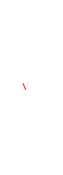 cover selVaggina