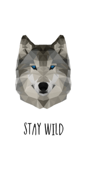 cover Stay Wild