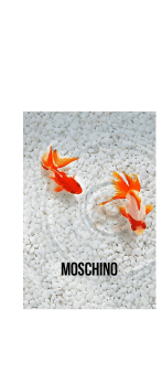 cover MOSCHINO Fish