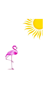 cover Flamingo•
