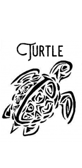cover Turtle