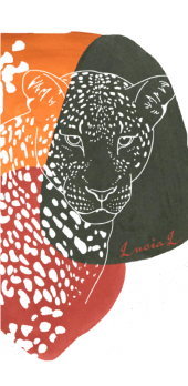 cover collezione estate 2020 :jaguar