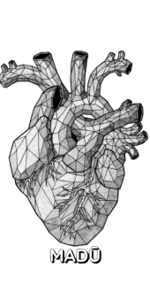 cover Anatomical Heart