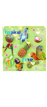 cover tropical love