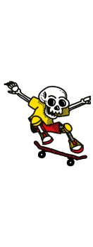 cover skater scheletro 