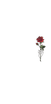 cover rose 