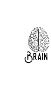 cover Brain 