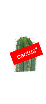 cover T-shirt, felpa e cover della cactus°